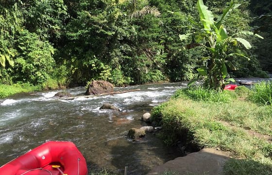 5 Day Wildlife Safari Tour in Sri Lanka