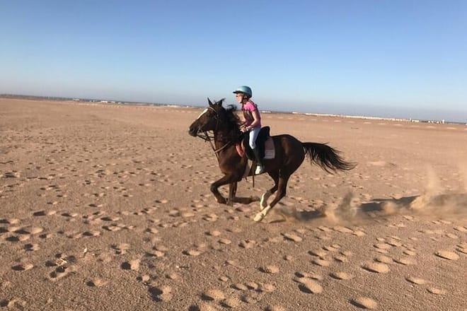 Horse Riding Tour Two Hours Sun &amp; Sea With Transfer - Hurghada