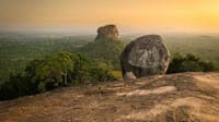  From Dambulla: Sigiriya & Minneriya Safari Tour 7
