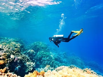 Beach Diving Experience in Sharm El Sheikh with Transfer