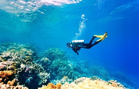 Beach Dive with Transfer – Sharm El Sheikh
