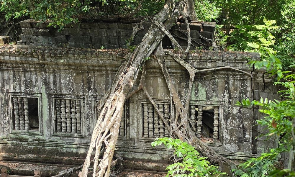 Sunrise at BengMealea with hidden Jungle -Ancient Carving (Peang Komnou) The Rock art Sanctuary 6