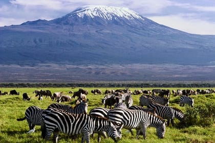 2days Amboseli Overnight Safari