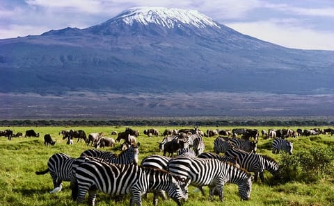 Amboseli National Park 2-Day Safari from Nairobi