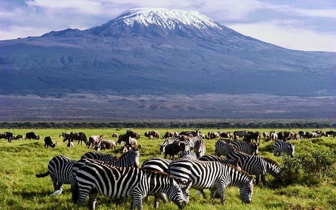 2days Amboseli Overnight Safari 4