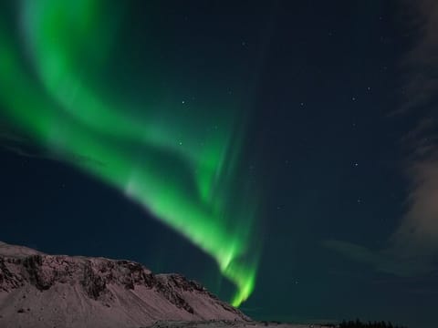 Northern Lights In luxury off-road SUV with Photos and Treats , photo 2