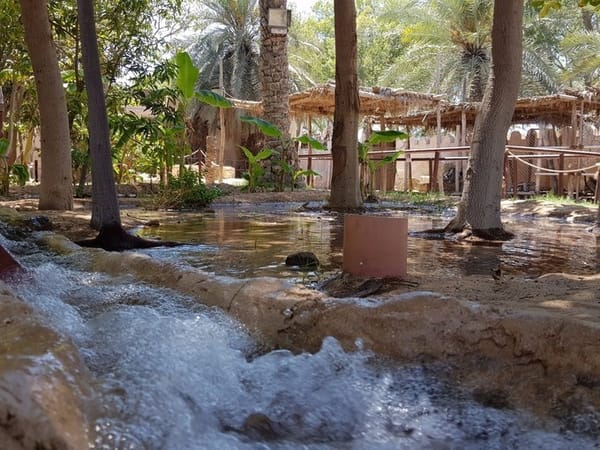 Things to do in Abu Dhabi