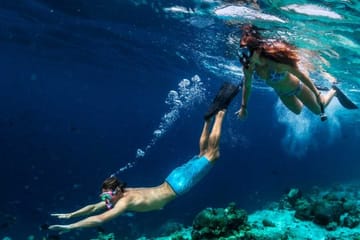 Snorkeling Adventure in Marsa Alam's Vibrant Waters