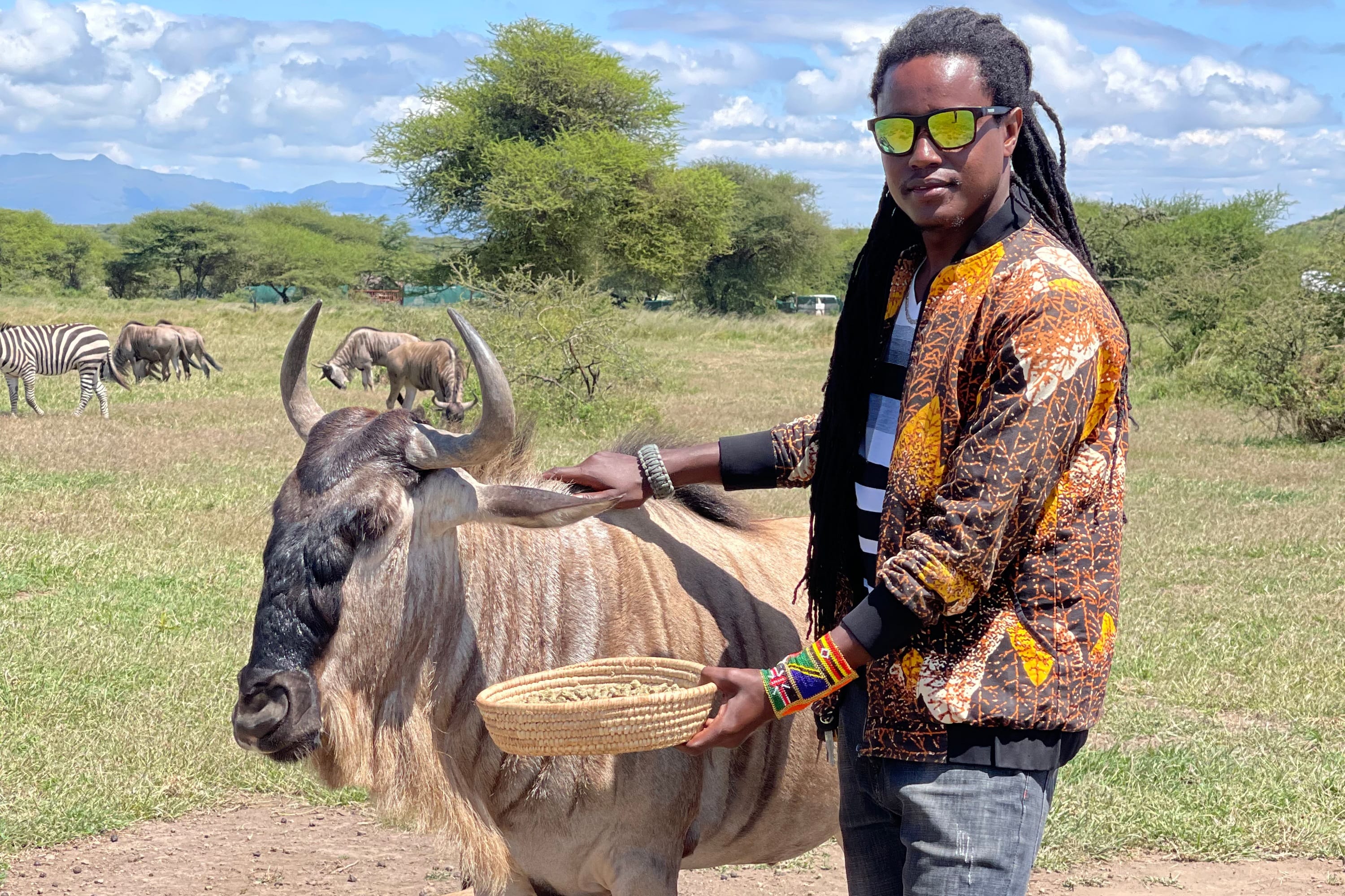 ​A professional guide interacting with a wildebeest in a conservation-focused sanctuary.
