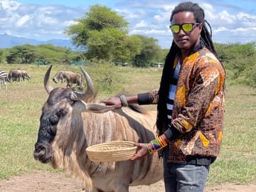 A rare, close-up encounter with a wildebeest in a private sanctuary.