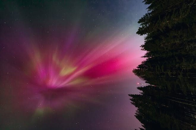 Rovaniemi: Northern Lights Group Tour - Guaranteed View 