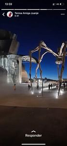 Magia en el Museo Guggenheim (interior y exterior - 2 horas con entradas VIP)