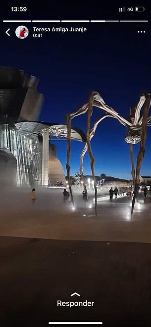 Magia en el Museo Guggenheim (interior y exterior - 2 horas con entradas VIP)
