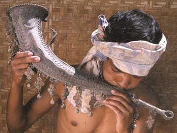 Cultural Tribal Tour of Odisha and Chhattisgarh