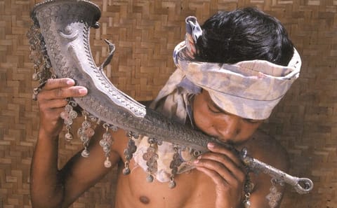 Cultural Tribal Tour of Odisha and Chhattisgarh