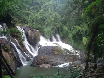 Koh Tao & Koh Nangyuan by Speedboat