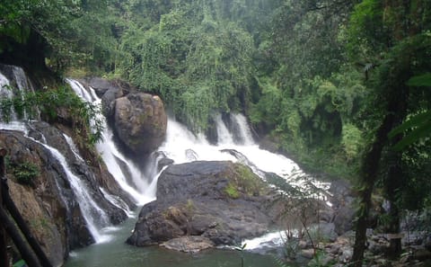 Cultural and Nature Tour of KMT Village and Pha Sua Waterfall in Chiang Rai