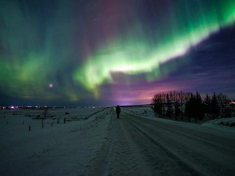 VIATOR Northern Lights Private Tour from Reykjavik, photo 5