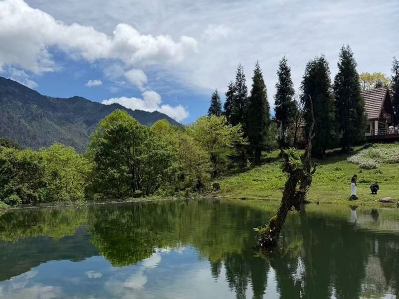 Ebian Hidden Valley 2-Day Tour - Malilengjiu Wetland & Zuma Grassland Mushroom Foraging