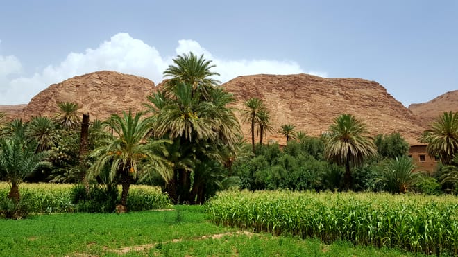MARRAKECH SAHARA AND GORGES 4 DAYS  3