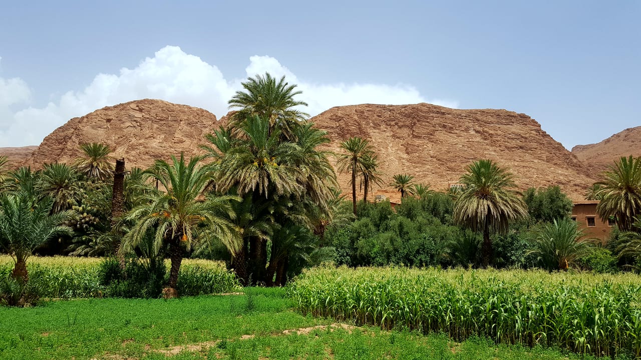 MARRAKECH SAHARA AND GORGES 4 DAYS  3