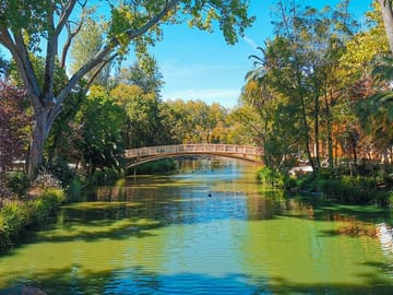 Aveiro and Costa Nova Full-Day Tour from Porto