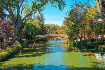 Aveiro and Costa Nova Full-Day Tour from Porto