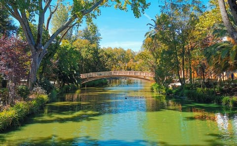 Aveiro and Costa Nova Full-Day Tour from Porto