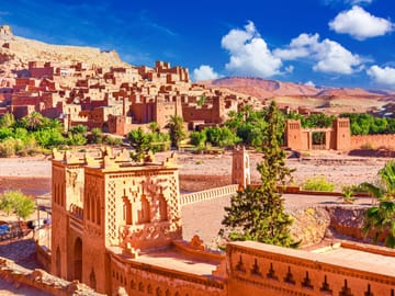 from agadir : Essaouira – guided day trip