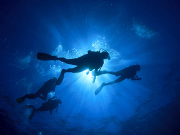 Diving Adventure Tour in Máncora's Marine Life