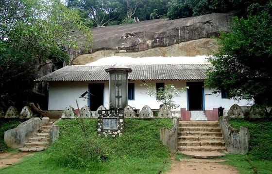 Pidurangala Rock All Inclusive Day Tour From Colombo