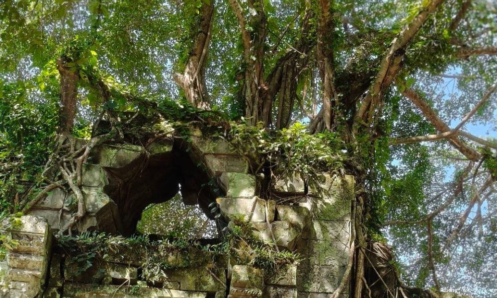 Sunrise at BengMealea with hidden Jungle -Ancient Carving (Peang Komnou) The Rock art Sanctuary 3