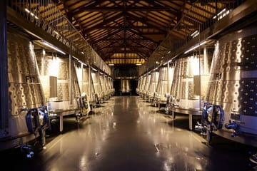 Douro Tour, Lunch at an Award-Winning Winery and Private Cruise