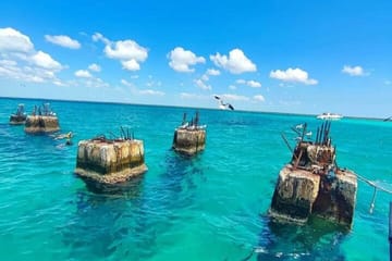 Whale Watching and Waterfall Adventure in Punta Cana