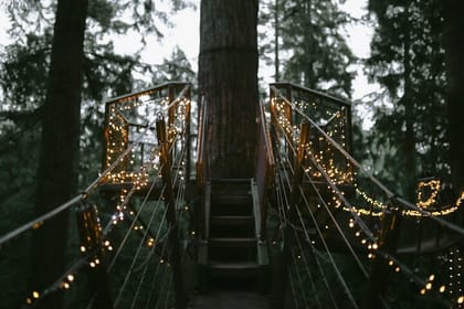 Vancouver Capilano Canyon light and peak of Christmas in Grouse mountain
