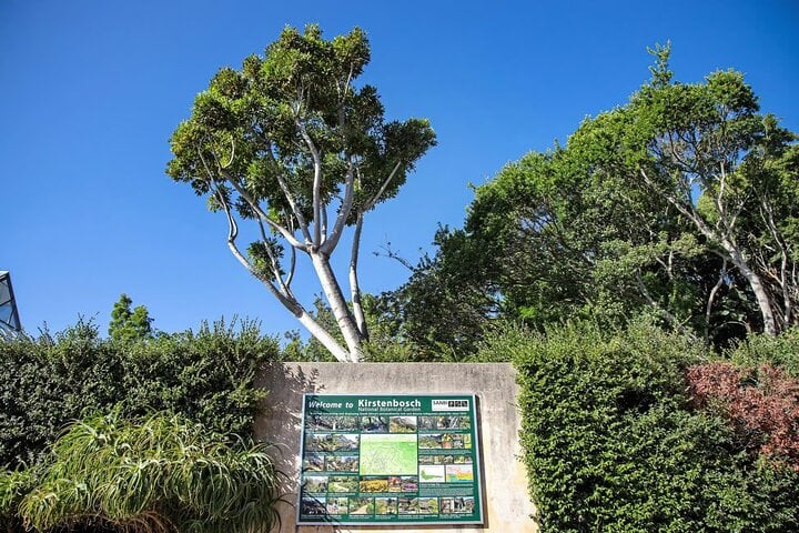 Bella Private Tours: Private Table Mountain, Kirstenbosch & Constantia Wine Day — Constantia - Photo 5