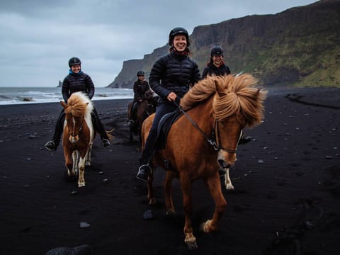 Black Beach Riding Tour, photo 3