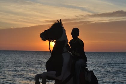 Half-Day Horse Riding in Kalpitiya