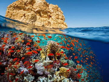 Scuba Diving Experience in Hurghada City Center, Egypt