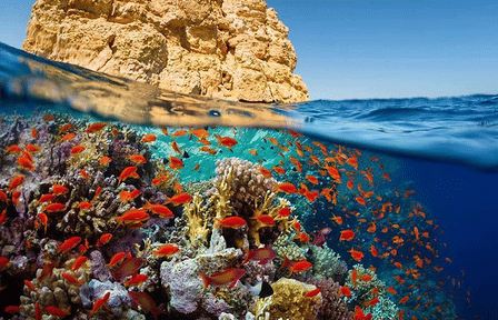 Scuba Diving Experience in Hurghada City Center, Egypt