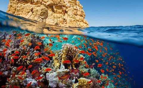Scuba Diving Experience in Hurghada City Center, Egypt