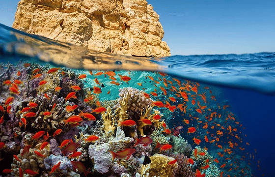 Discover Hurghada Scuba Diving