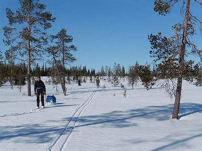 Backcountry skiing and winter camping