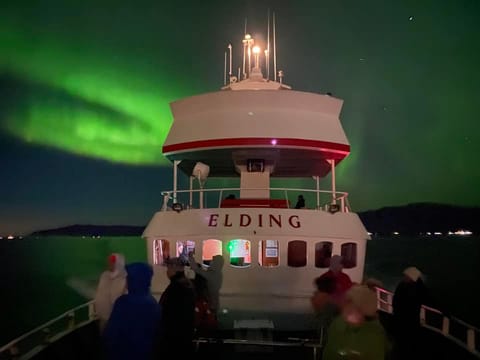 Northern Lights Cruise & FlyOver Iceland, photo 3