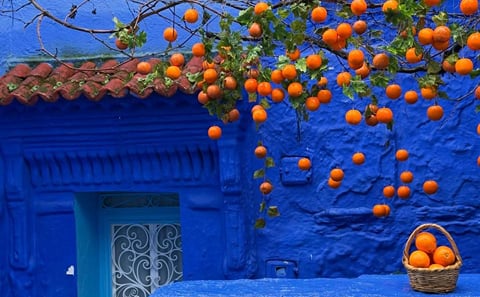 Blue City and Atlantic Edge — Chefchaouen, Tangier and Asilah