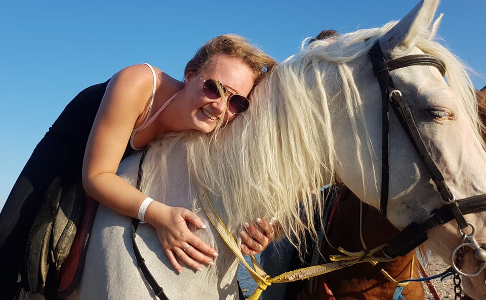 Premium 1 Hour Elite Desert Horseback Riding Adventure – Hurghada