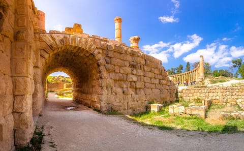 Private Day Tour of Jerash and the Dead Sea from Amman
