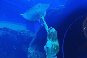 Dubai Aquarium & Underwater Zoo + Penguin Cove Entry Tickets