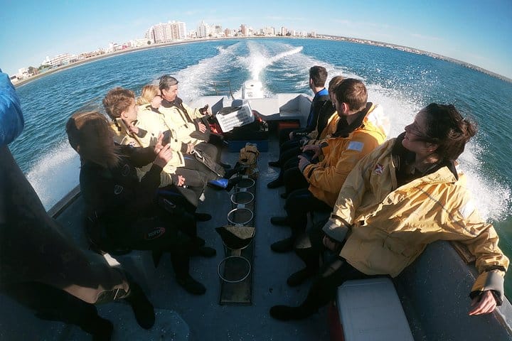 Snorkeling with Sea Lions