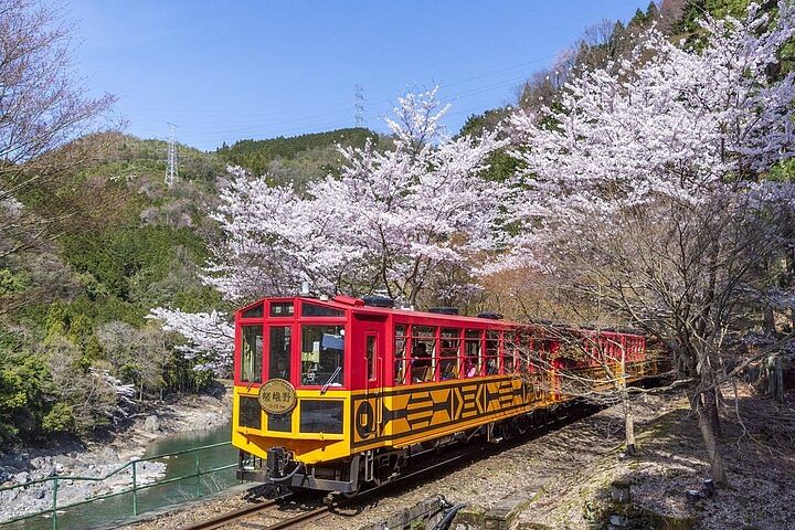 Sagano Romantic Train One-Way Ticket